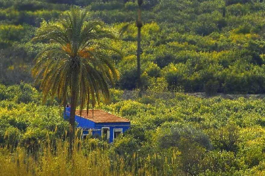 ארצ'נה Sol Mediterraneo מראה חיצוני תמונה