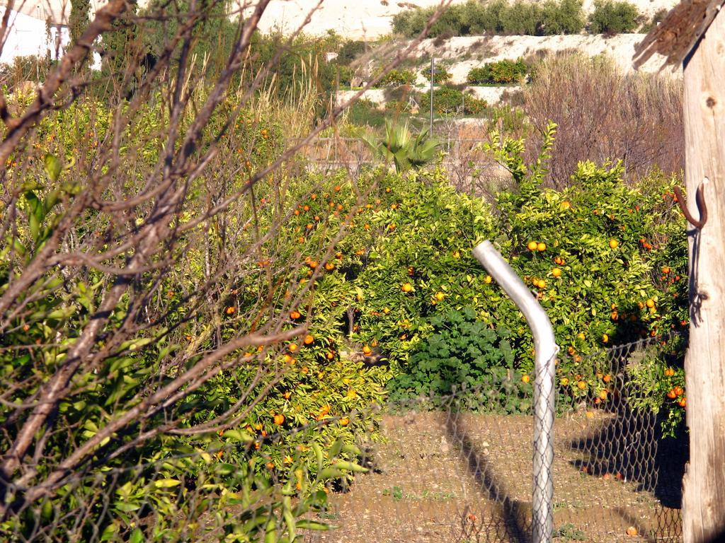 ארצ'נה Sol Mediterraneo מראה חיצוני תמונה