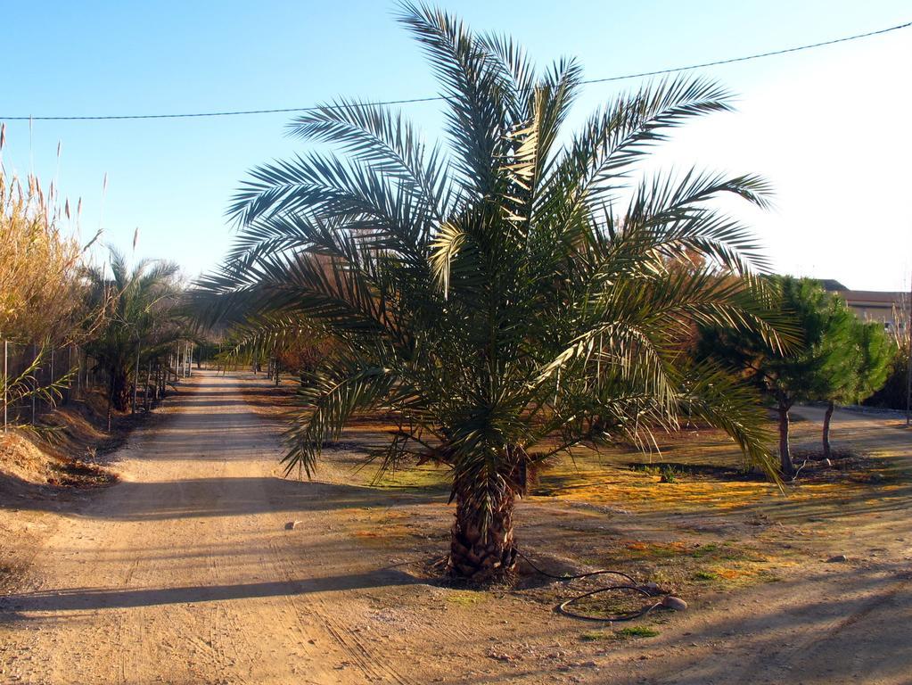 ארצ'נה Sol Mediterraneo מראה חיצוני תמונה